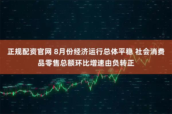 正规配资官网 8月份经济运行总体平稳 社会消费品零售总额环比增速由负转正