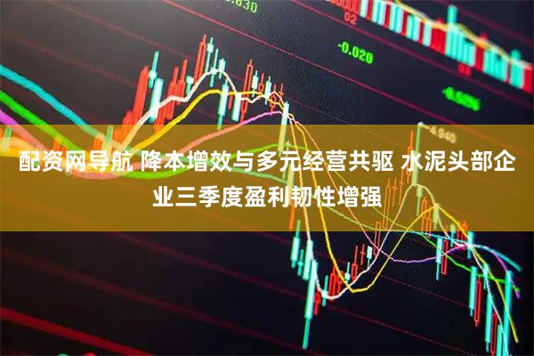配资网导航 降本增效与多元经营共驱 水泥头部企业三季度盈利韧性增强